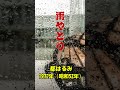 都はるみ..... 雨やどり..... 人生の思い出の唄。。。 #automobile #60歳代 #昭和歌謡 #哀愁 #昭和歌謡カバー #昭和歌謡カバー #若い頃