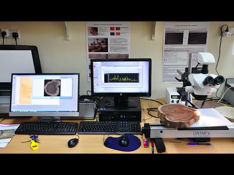 วีดีโอ: Dendrochronology - สิ่งที่ต้นไม้สามารถบอกได้