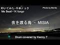 夜を渡る鳥 - MISIA