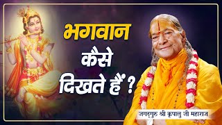 भगवान का रूप कैसा है? वे कैसे दिखते हैं? Jagadguru Shri Kripalu Ji Maharaj | Pravachan