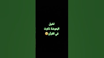"حتى البعوضة ربنا ذكرها عشان يبين الحق، المؤمن يفهم والكافر يعترض.. انت منين؟ #قرآن #تلاوة"