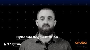Aruba - Dynamic Segmentation