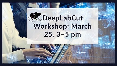 Dynamic Brain Circuits DeepLabCut Workshop Research Talks 25/03/2021