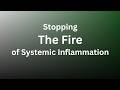 Chronic Inflammation Explained: Signs, Causes & Recovery Strategies 🔥🧬