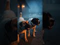 Dog protect sheep #viral #dog #shorts