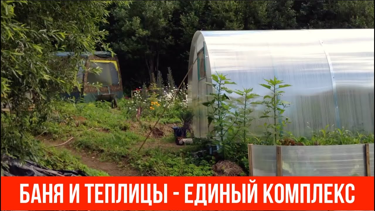 Баня и теплицы - единый комплекс - YouTube