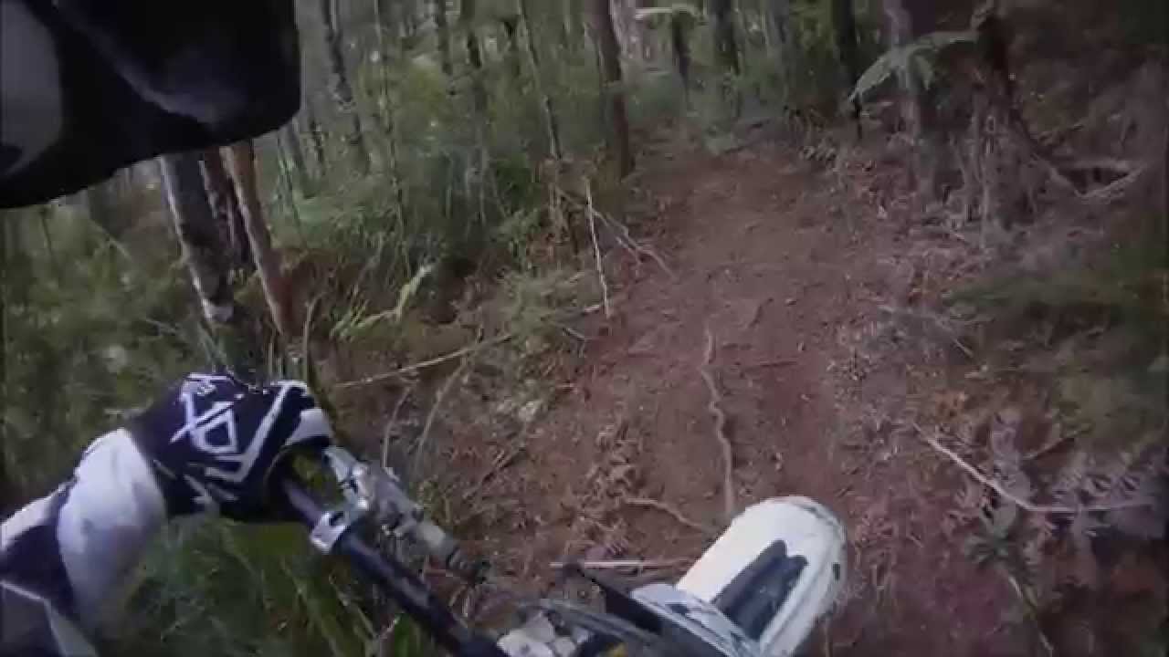 Copperhead Road at The Farm YouTube