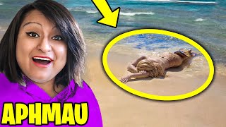 7 YouTubers Who CAUGHT MERMAIDS On CAMERA! (Aphmau, JoJo Siwa \& SSSniperWolf)