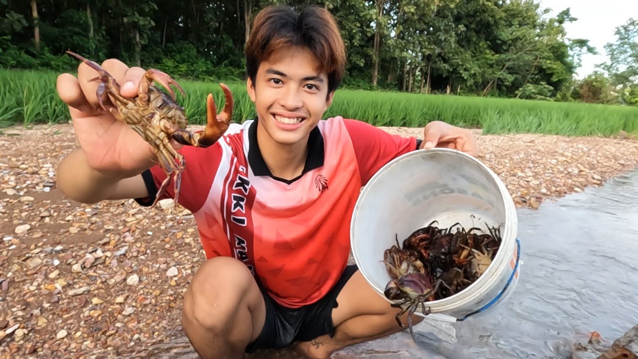 หาจับปูเจอดงปูนา วันนี้ได้หลายคัก.