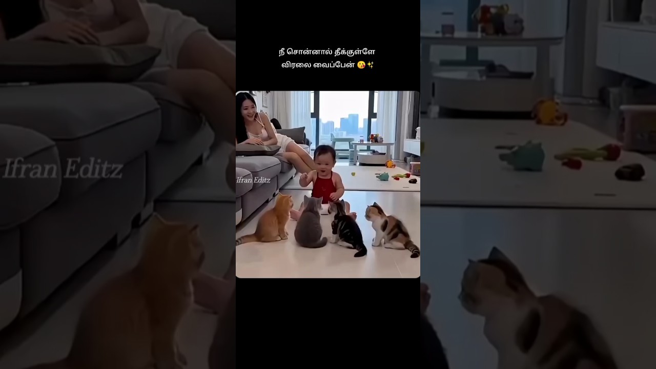 Cute Baby With Cats🐈✨#baby#babysmile#cutebaby#cat#catlove#cutemoments#truelove#shorts