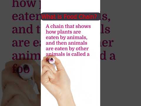 Food chain What is food chain science Biology
