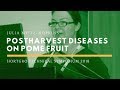 Julia Meitz-Hopkins—Postharvest Diseases on Pome Fruit