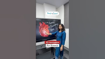 Best Smart Board For Teaching Science With 3D Animation On Digital Board Panel - Heart Animation 3D