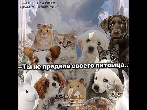 —(Идея не моя)СПАСИБО ЗА 683К ЗАЙЧАТА!!😭🫶🏻🌷 #рек #гача #приколгача #гачалайф #gacha #гачаклуб