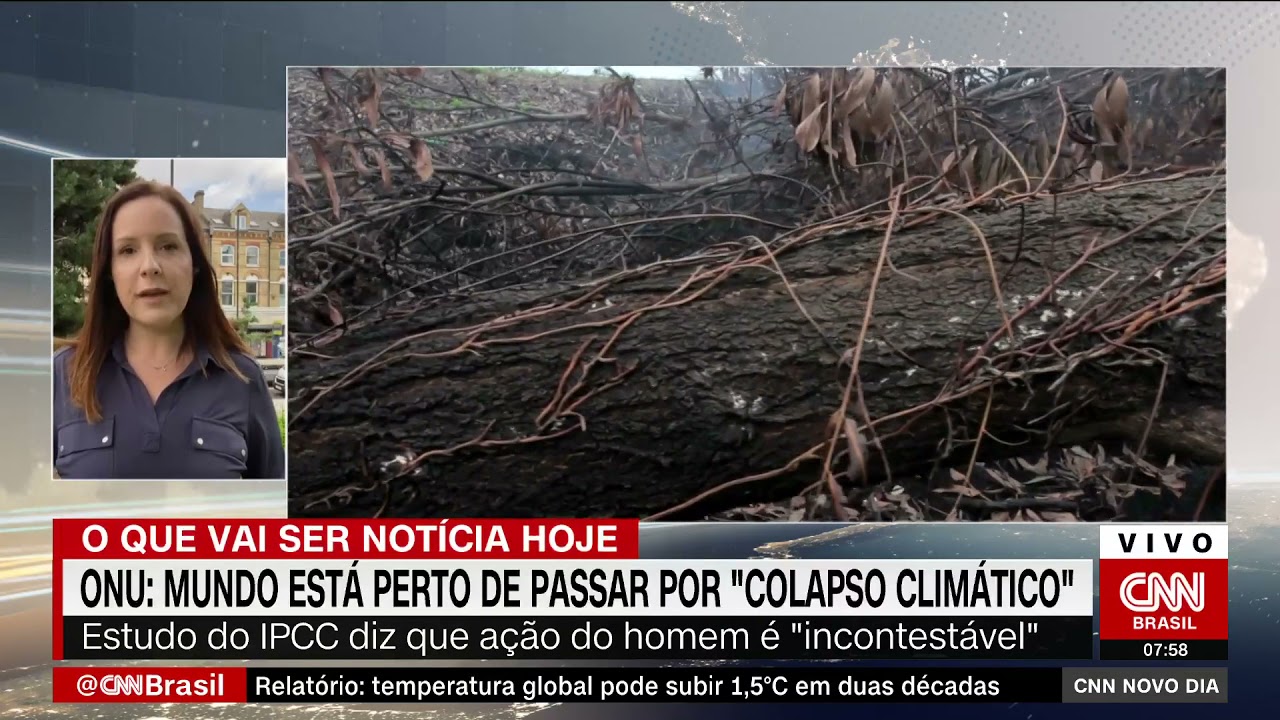 Brasil mil grau: o que o IPCC diz sobre o futuro do país no aquecimento  global?