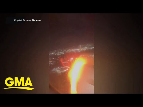 BLARNY A REPORT OF THE BIRDSTRIKE ほぼ新品 Bird strike causes emergency landing on American Airlines
