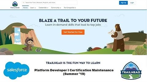 Platform Developer I Certification Maintenance (Summer 