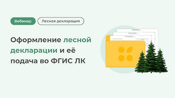 Оформление лесной декларации и её подача во ФГИС ЛК