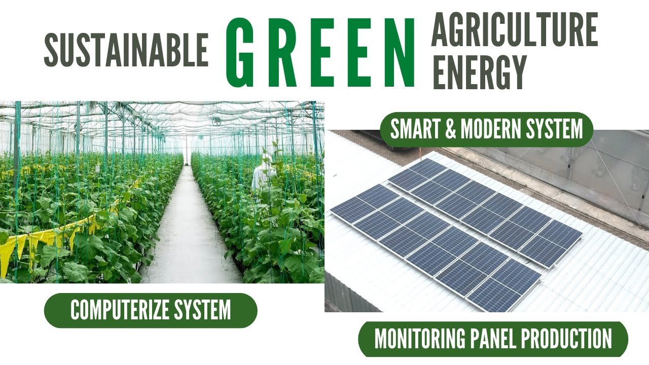 First in Indonesia - Smart Green House Powered by Solar Energy