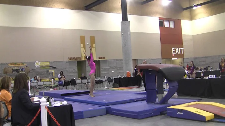 Patty Burson 1st place vault 2013 Region 1 Champio...