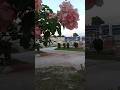 ইসলামিক সংগীত #robi ১২১#rubelstudio #bangladeshansar #banglamusic #banglasongs #instructional