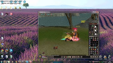 Metin2 Legacy Hack DMG