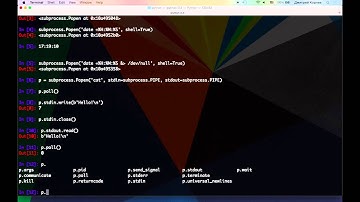 Python.10.01 subprocess.Popen, os.fork