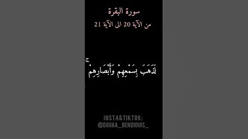 سورة البقرة من الآية 20 إلى الآية 21 بصوتي 🤍