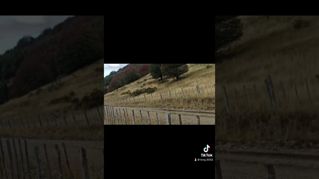 Watch Rally Coyhaique 2023 subaru legacy N 30 categoría N 3 tramo 1 y 2 el blanco-monreal⬅️ on YouTube Watch Rally Coyhaique 2023 subaru legacy N 30 categoría N 3 tramo 1 y 2 el blanco-monreal⬅️ on YouTube