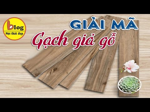 Video: Gạch giả là gì?