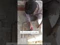 From Paint Removal to Tile Work 🔥 | Kitchen Vlog #Shorts