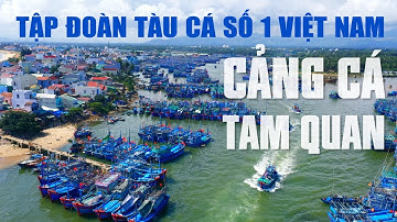 Cảng Cá Tam Quan - Tập Đoàn Tàu Cá Số 1 Việt Nam | Thị Xã Hoài Nhơn