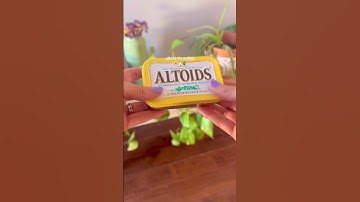 Making an Altoid tin wallet #diy #altoidswallet