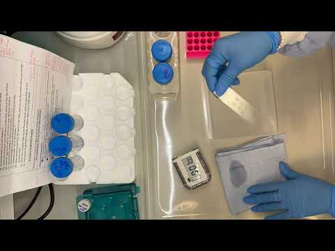 Visium 10x Tissue Optimisation protocol- 5 hours in 3 minutes