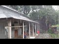 Wonderful rainy season in bangladesh  village  village rainy day