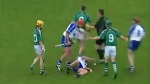 Brian Geary Disfigures Molumphy - Limerick Vs Wate...