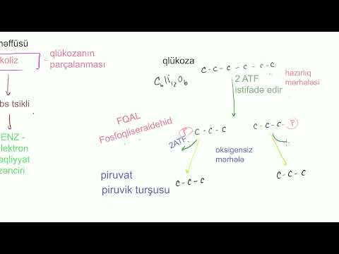 Video: Ot dəyirmanları: ümumi baxış, spesifikasiyalar, seçim, rəylər