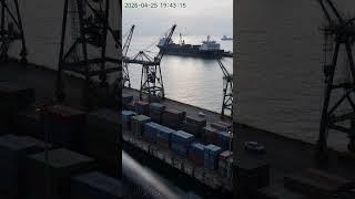 Industrial Port Crane Collapse Caught on Security Camera
