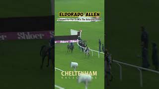 Eldorado Allen 132 - Wins The Veterans Chase