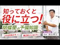 胡蝶蘭選びがもっと楽しくなる！知っておくと役に立つ胡蝶蘭の予備知識【胡蝶蘭】