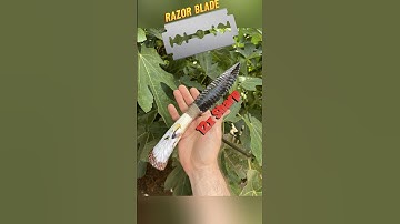 Sharpest Knife In The World #facts #shorts #youtubeshorts #trending #viral #fact
