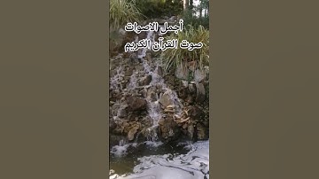 قران كريم🤲😍🌹 بصوت جميل للشيخ ياسر الدوسري #اكسبلور #المصحف #راحة_نفسية#تيك_توك #اةة #راحة_نفسية 😍