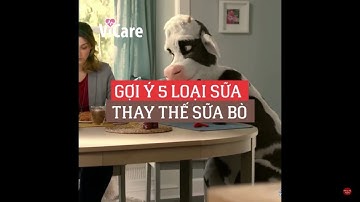 Gợi Ý 5 Loại Sữa Có Thể Thay Thế Sữa Bò - ViCare