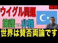 【賛否両論】ウイグル問題が世界的に賛否両論になっている理由