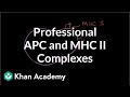 Professional antigen presenting cells (APC) and MHC II complexes | NCLEX-RN | Khan Academy