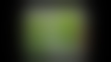 Xploder (Lite) for Xbox (Pc Cheat Disc) Game Save List