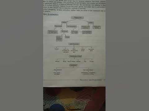 flow chart of geography chapter 1 - YouTube