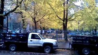 VID 9occupyportlandeviction11 13 11