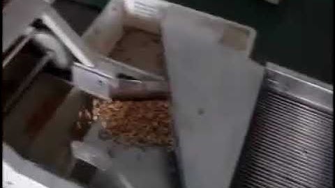 Automatic peanut butter production line working video