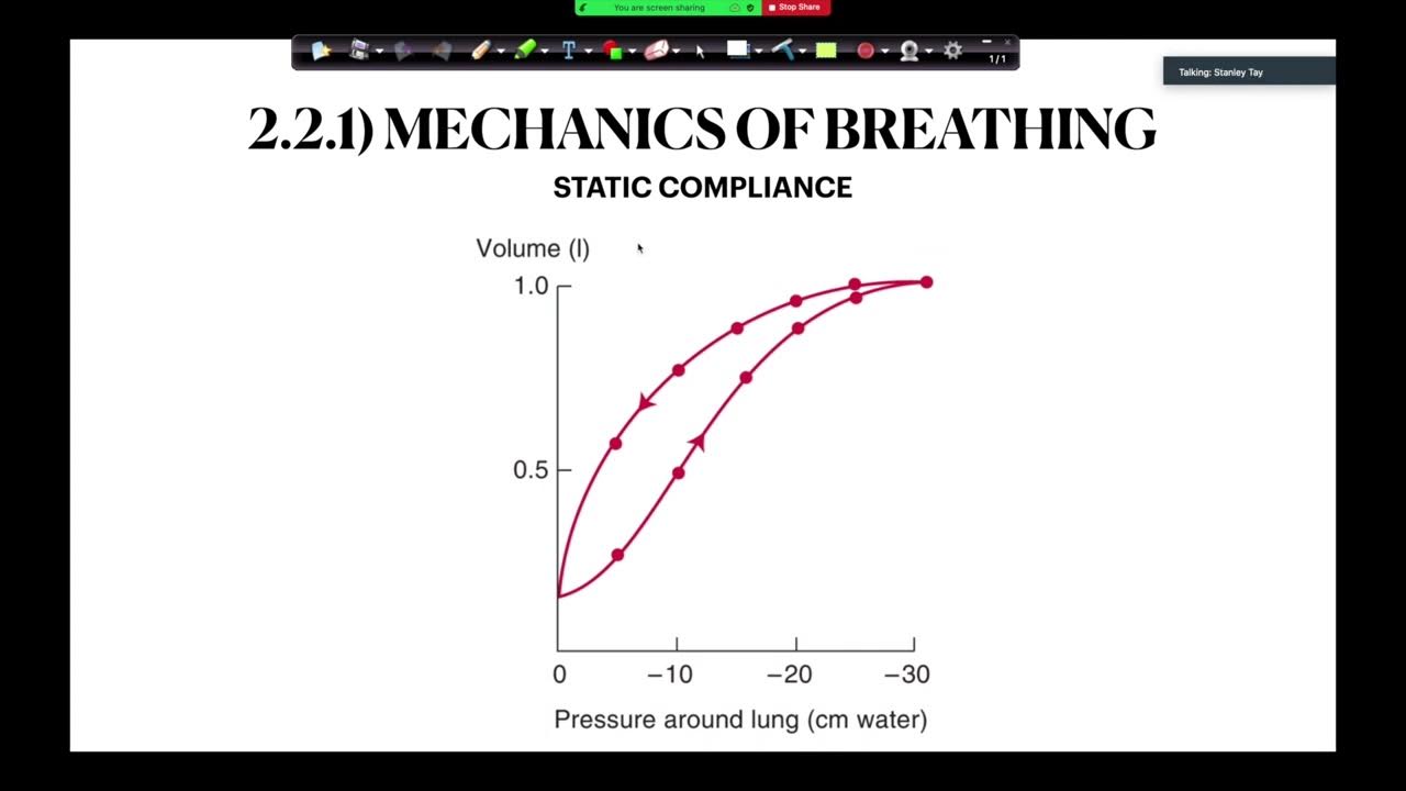 Theory of Respiratory Static and Dynamic Compliance Curves YouTube